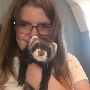 Meet your Posher, Henry